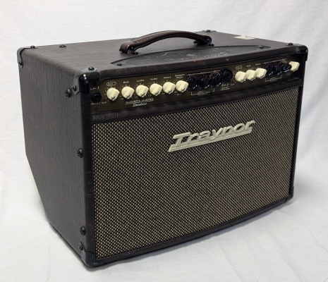 Store Special Product - Traynor - AM Standard 2-Channel Stereo Acoustic Guitar Amp - 150 Wat